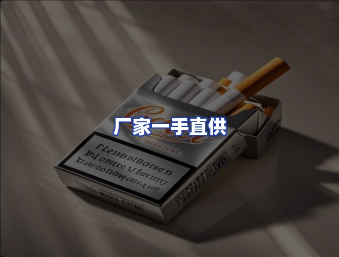 专业团队